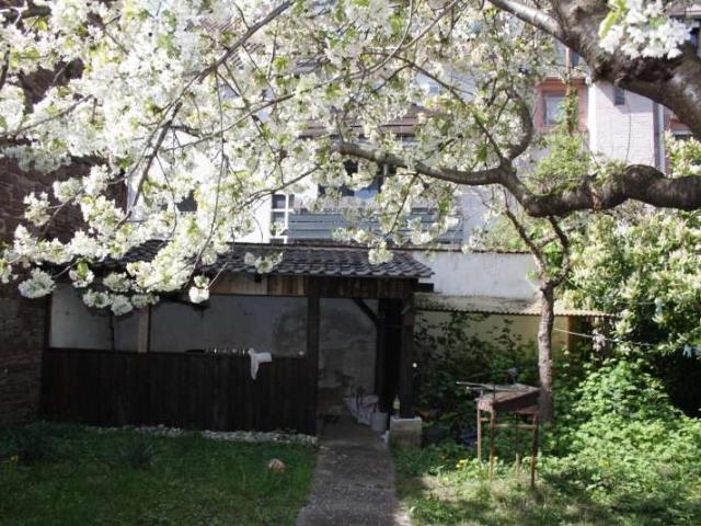 Haus zum Kaufen in Karlsruhe 795.000,00 EUR 295 m²