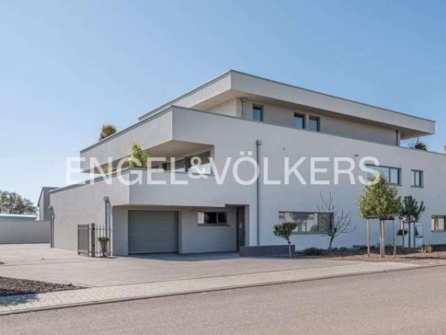 Haus zum Kaufen in Kirrweiler 2.680.000,00 EUR 371 m²
