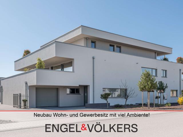 Haus zum Kaufen in Kirrweiler 2.680.000,00 EUR 371 m²