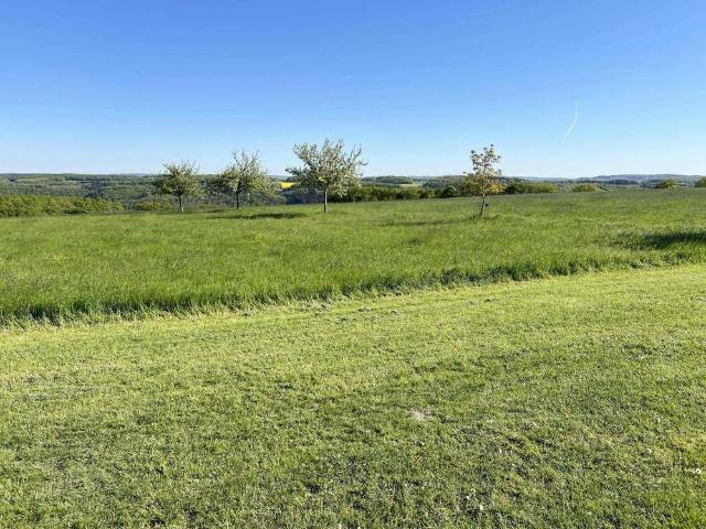 Haus zum Kaufen in Klotten 649.000,00 EUR 185.42 m²