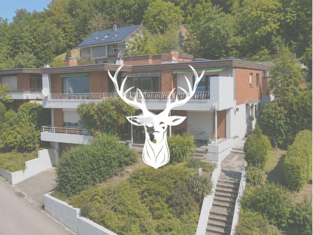 Haus zum Kaufen in Küssaberg Kadelburg 599.000,00 EUR 220 m²