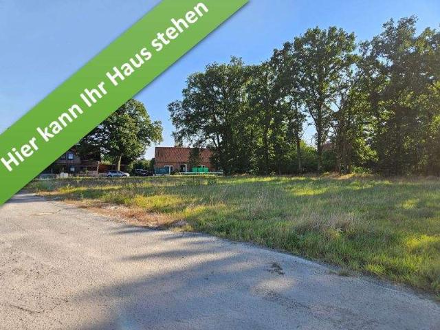 Haus zum Kaufen in Hoyerhagen 323.440,00 EUR 144 m²