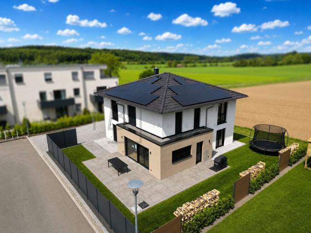 Haus zum Kaufen in Hochdorf 1.009.900,00 EUR 277 m²