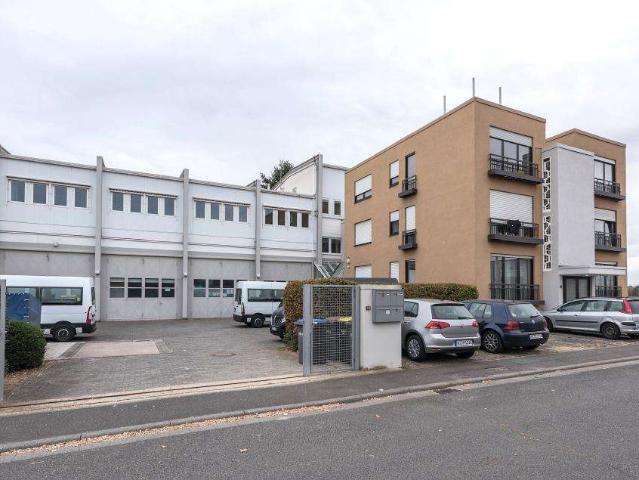 Haus zum Kaufen in Hochheim 1.600.000,00 EUR 300 m²