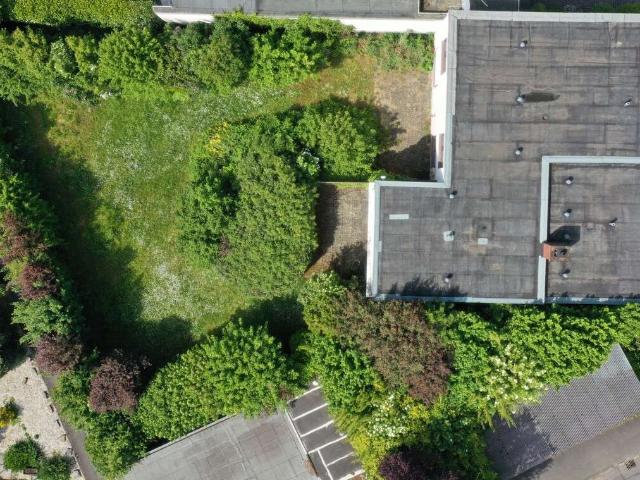 Haus zum Kaufen in Hofheim am Taunus Wallau 689.000,00 EUR 195 m²