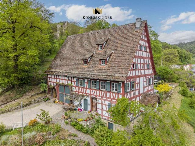 Haus zum Kaufen in Horb am Neckar 795.000,00 EUR 250 m²