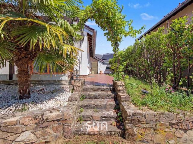 Haus zum Kaufen in Hattersheim am Main 799.000,00 EUR 220 m²