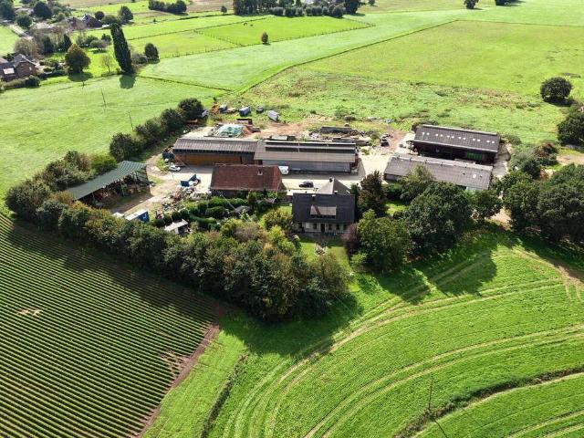 Haus zum Kaufen in Hamminkeln 1.790.000,00 EUR 273 m²
