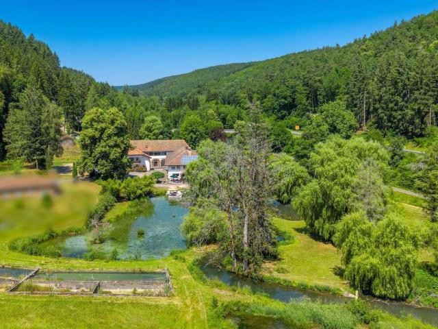 Haus zum Kaufen in Hardheim 1.290.000,00 EUR 1600 m²