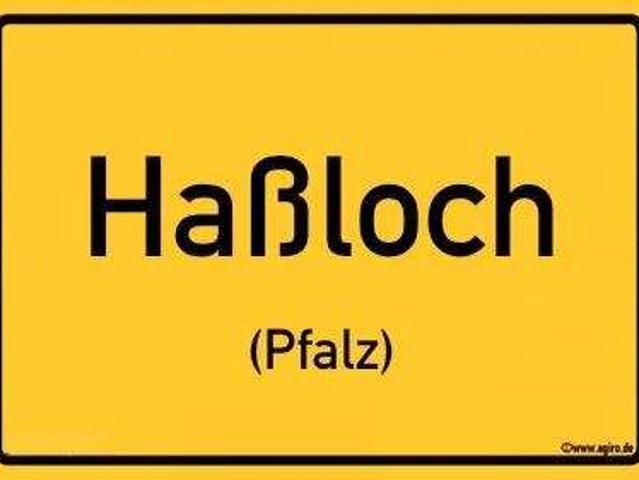 Haus zum Kaufen in Haßloch, Pfalz 585.900,00 EUR 134.76 m²