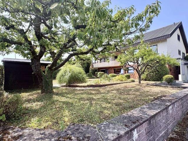 Haus zum Kaufen in Heilbronn 567.000,00 EUR 238 m²
