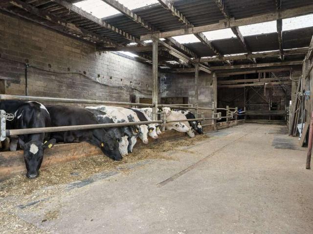 Haus zum Kaufen in Heinsberg Hülhoven 575.000,00 EUR 208 m²