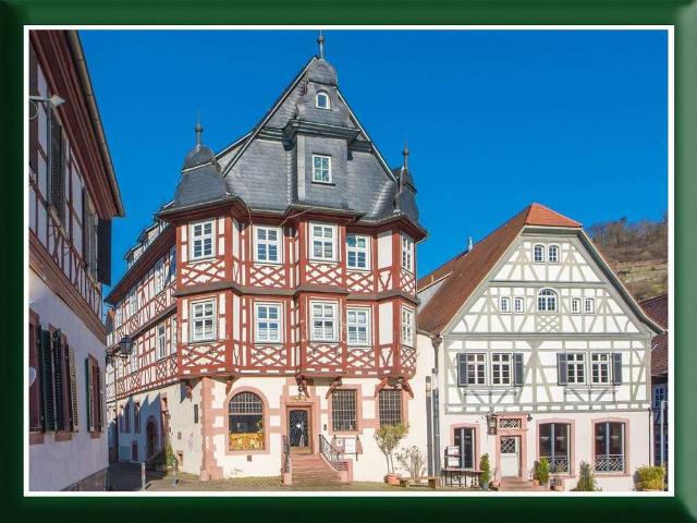 Haus zum Kaufen in Heppenheim 850.000,00 EUR 530 m²