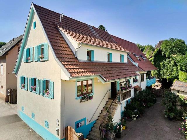 Haus zum Kaufen in Herbolzheim 795.000,00 EUR 220 m²