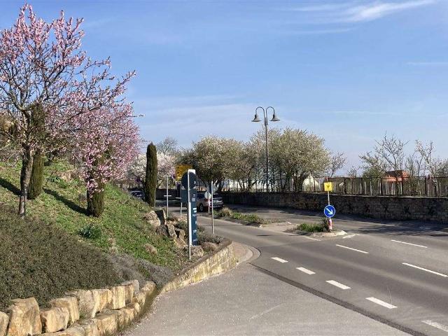 Haus zum Kaufen in Herxheim am Berg 380.000,00 EUR 244 m²