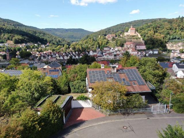 Haus zum Kaufen in Hirschhorn 849.000,00 EUR 300 m²