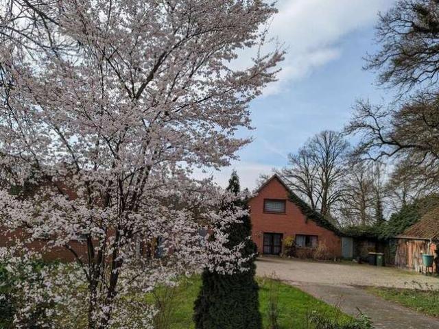 Haus zum Kaufen in Hude 380.000,00 EUR 230 m²