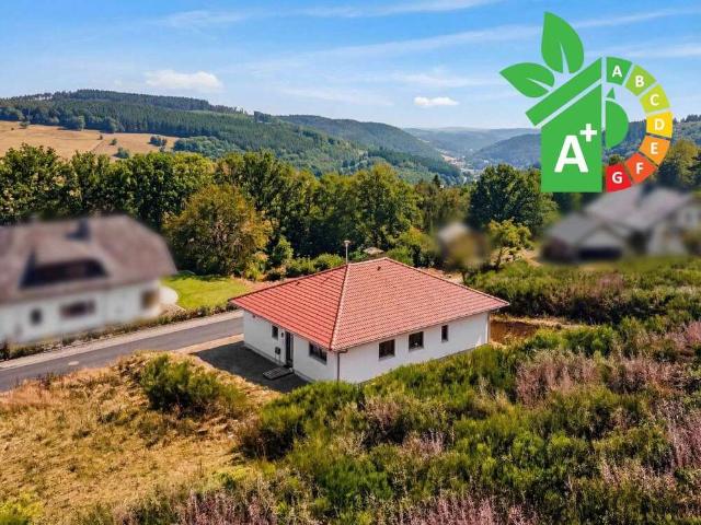 Haus zum Kaufen in Idar Oberstein 429.000,00 EUR 135 m²