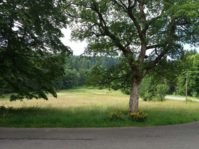 Haus zum Kaufen in Oberhof 795.000,00 EUR 716 m²