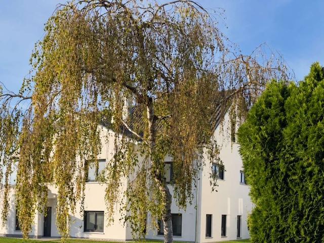 Haus zum Kaufen in Odelzhausen 850.000,00 EUR 135 m²