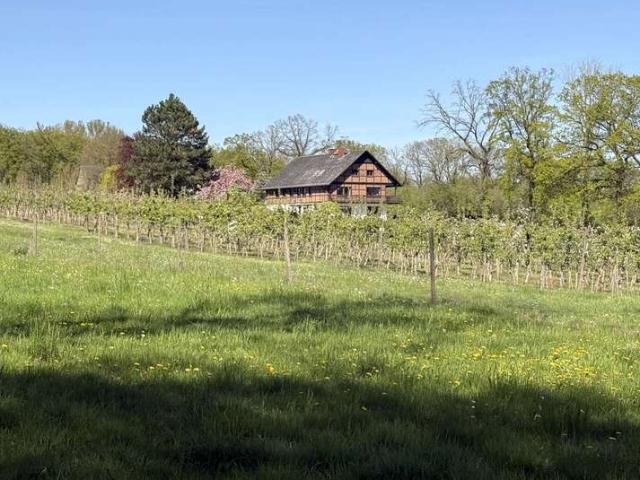Haus zum Kaufen in Oelde 985.000,00 EUR 250 m²