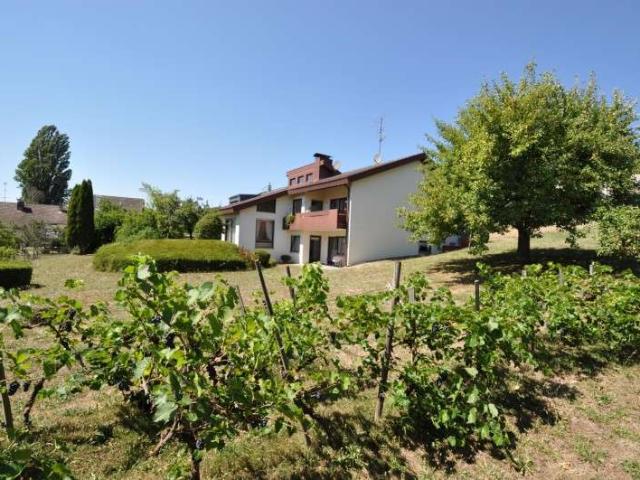 Haus zum Kaufen in Öhningen 890.000,00 EUR 220.53 m²