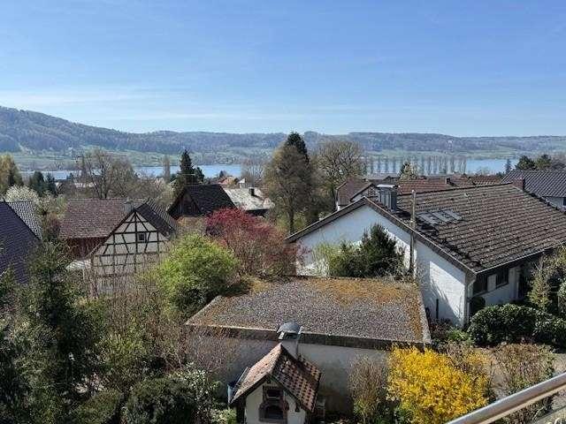 Haus zum Kaufen in Öhningen Wangen 895.000,00 EUR 355.94 m²