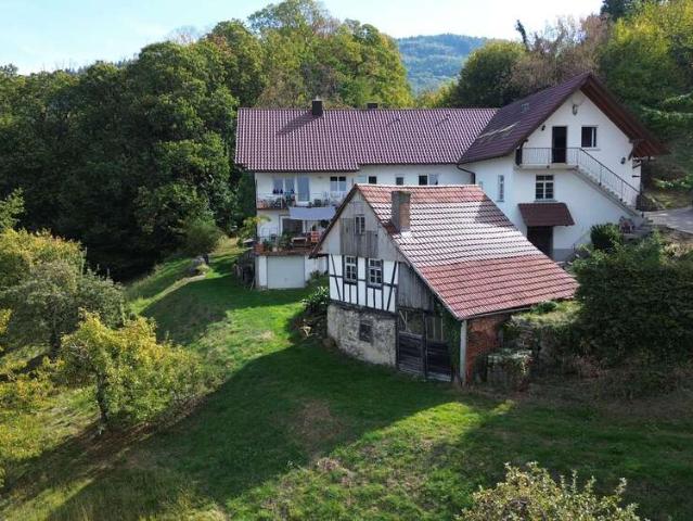 Haus zum Kaufen in Lauf 685.000,00 EUR 203 m²