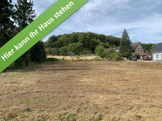 Haus zum Kaufen in Lamspringe 354.690,00 EUR 119 m²