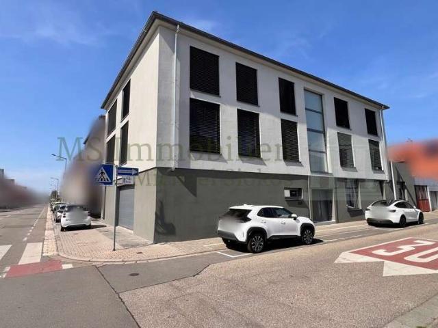 Haus zum Kaufen in Lampertheim 1.500.000,00 EUR 360 m²