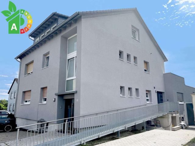 Haus zum Kaufen in Langenselbold 950.000,00 EUR 443 m²