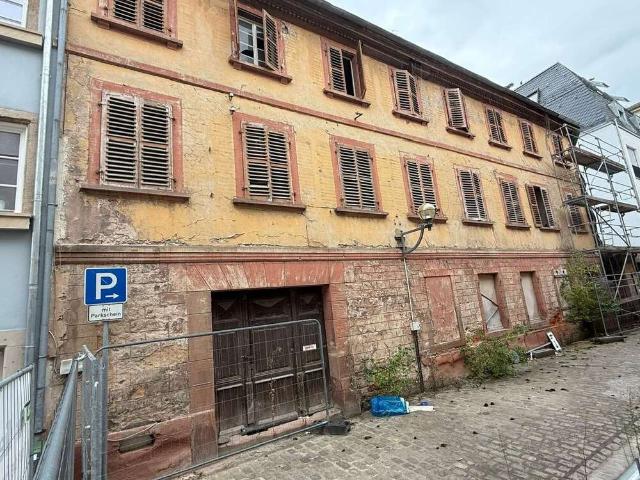 Haus zum Kaufen in Landau 379.200,00 EUR 368 m²