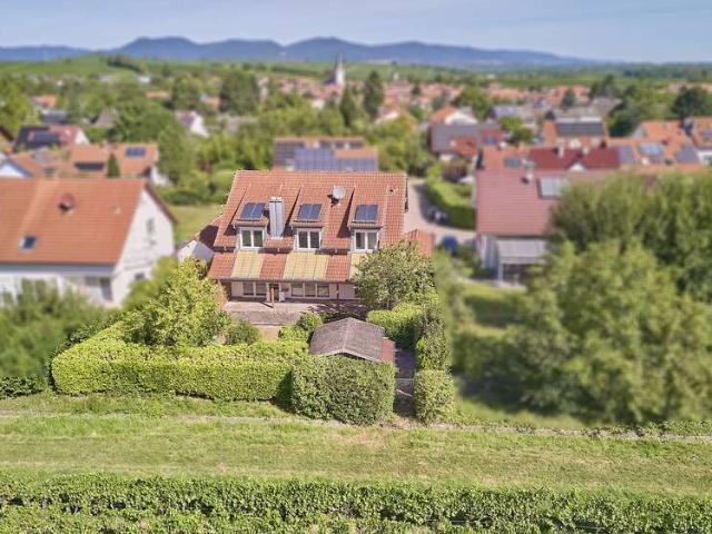 Haus zum Kaufen in Landau 795.000,00 EUR 282 m²