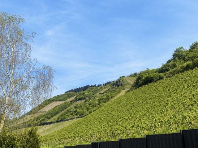 Haus zum Kaufen in Leutesdorf 549.000,00 EUR 220 m²