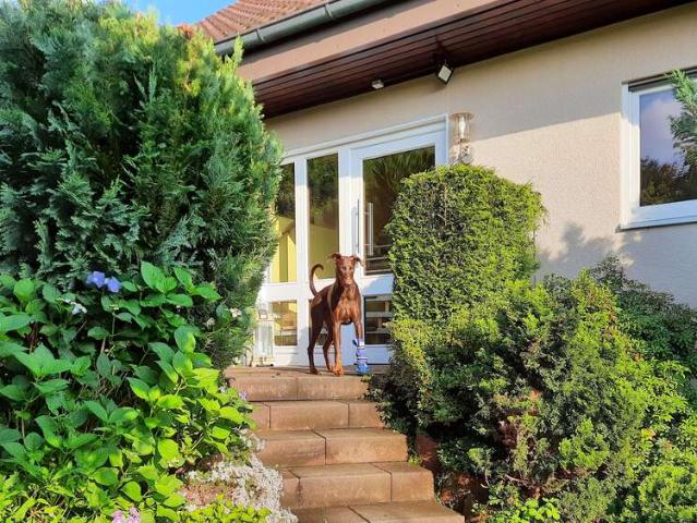 Haus zum Kaufen in Leidersbach 450.000,00 EUR 130 m²