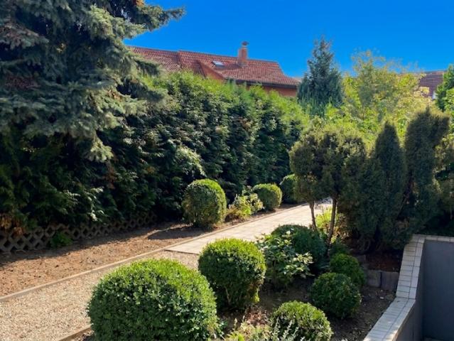 Haus zum Kaufen in Leimen 749.990,00 EUR 313 m²