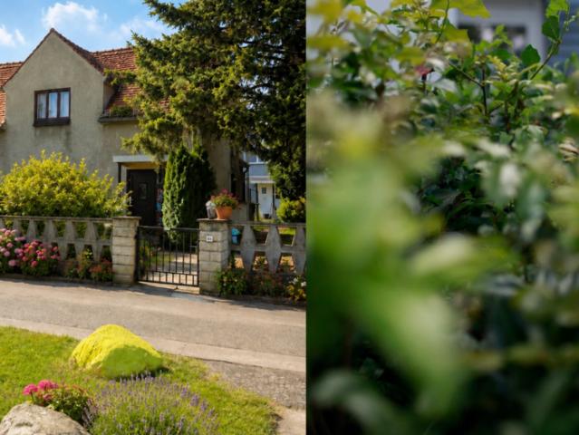 Haus zum Kaufen in Leipzig 390.000,00 EUR 150 m²