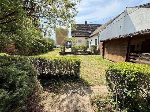 Haus zum Kaufen in Limburgerhof 449.000,00 EUR 88 m²