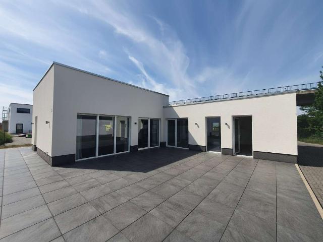 Haus zum Kaufen in Lippstadt Herringhausen 459.000,00 EUR 140 m²