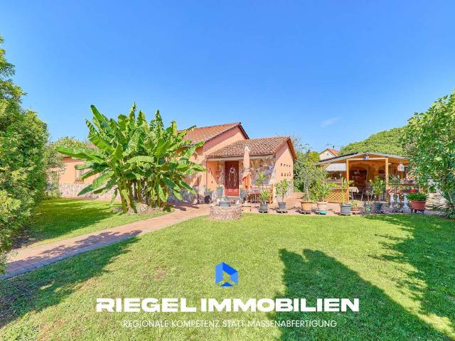 Haus zum Kaufen in Ludwigshafen am Rhein Mundenheim 425.000,00 EUR 121.77 m²