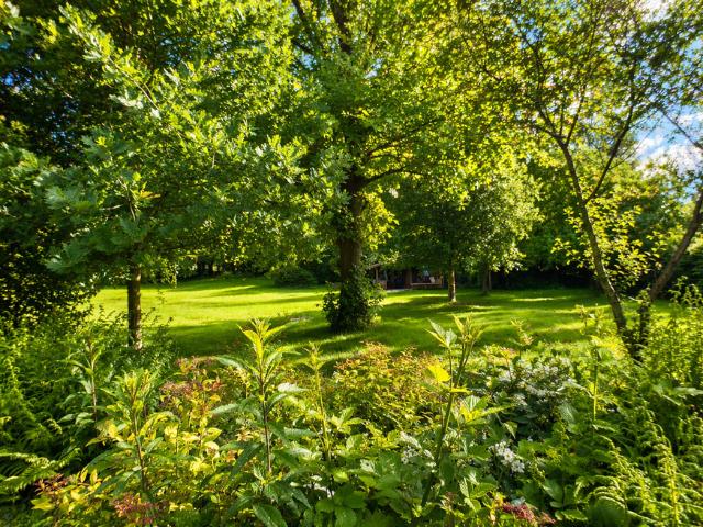 Haus zum Kaufen in Monschau 469.000,00 EUR 256 m²