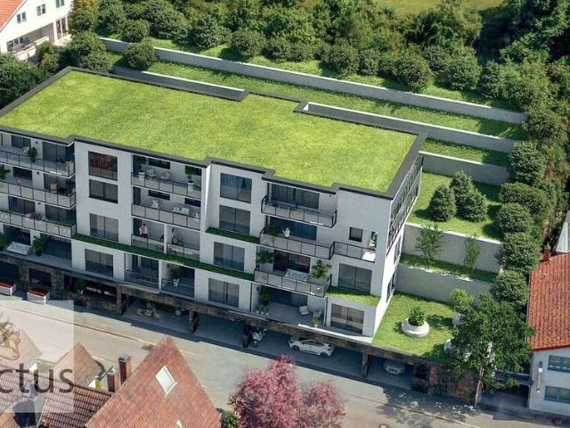 Haus zum Kaufen in Mosbach 449.000,00 EUR 1452 m²