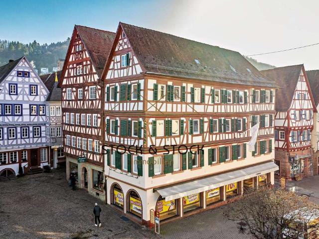 Haus zum Kaufen in Mosbach 1.200.000,00 EUR 343.93 m²