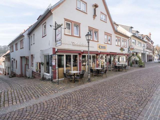Haus zum Kaufen in Marktheidenfeld 765.000,00 EUR 394 m²