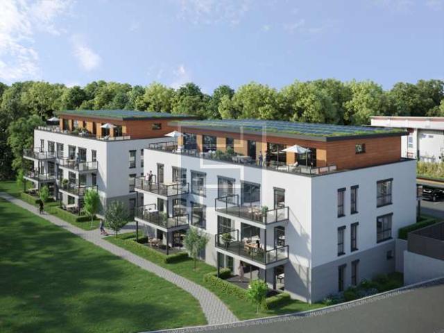 Haus zum Kaufen in Mudersbach 4.352.000,00 EUR 1064 m²