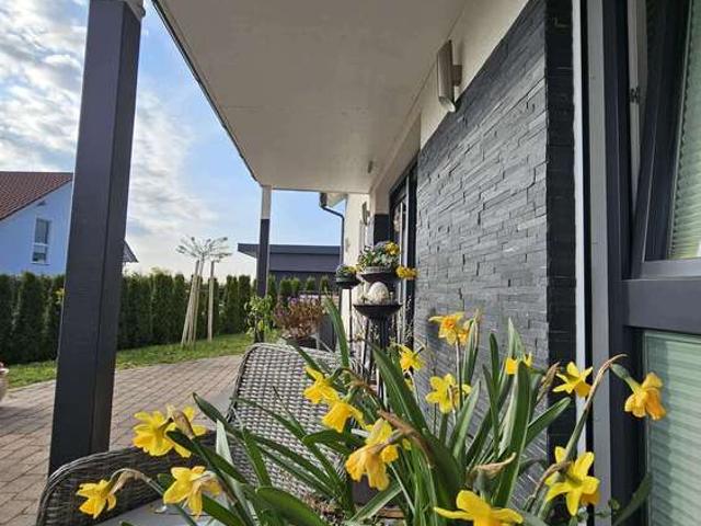 Haus zum Kaufen in Mühlhausen 550.000,00 EUR 200 m²