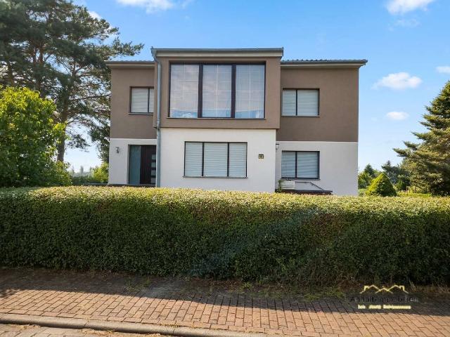 Haus zum Kaufen in Muldestausee OT Mühlbeck 350.000,00 EUR 180 m²