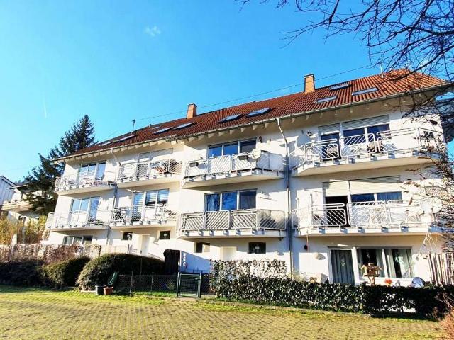 Haus zum Kaufen in Münster Sarmsheim 1.995.000,00 EUR 1044 m²
