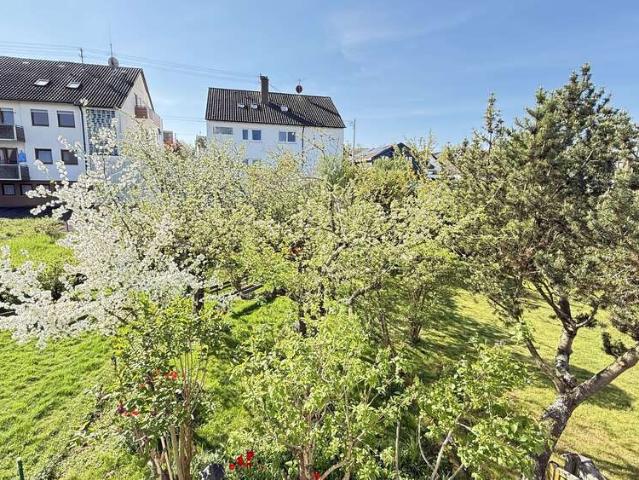 Haus zum Kaufen in Neuhausen 499.000,00 EUR 141.79 m²