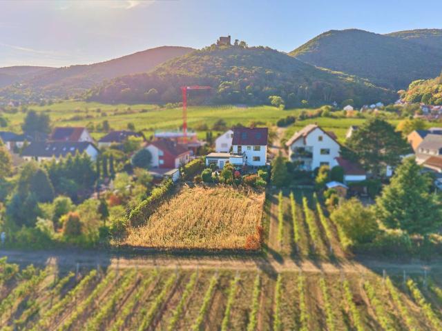 Haus zum Kaufen in Neustadt an der Weinstrasse 765.000,00 EUR 112.19 m²